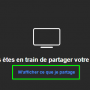 visio_rendez-vous_-_partage_d_ecran_4.png